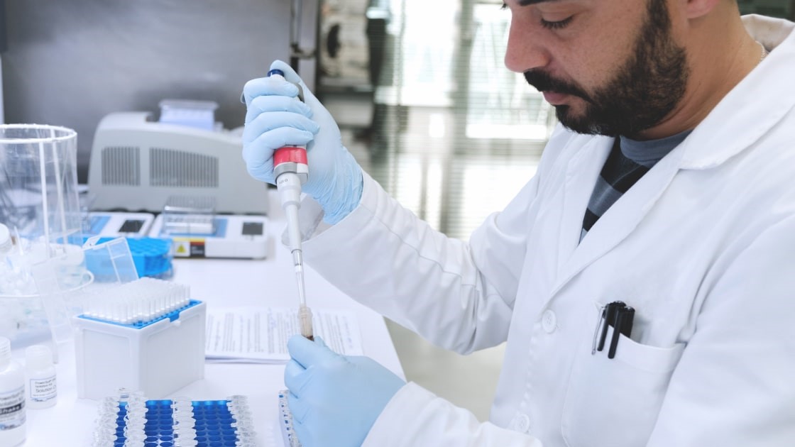 Microgaia|logo microgaia